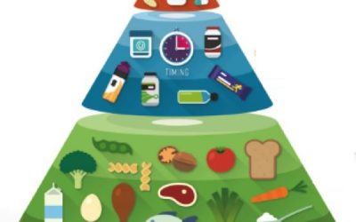Valor nutritivo y energético de los alimentos