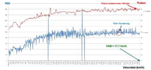 vo2max pulsos cardiacos vam