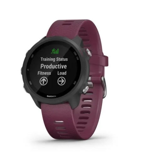 garmin forerunner 245