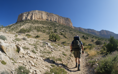 ¿Cuántas calorías se queman andando 5 km?