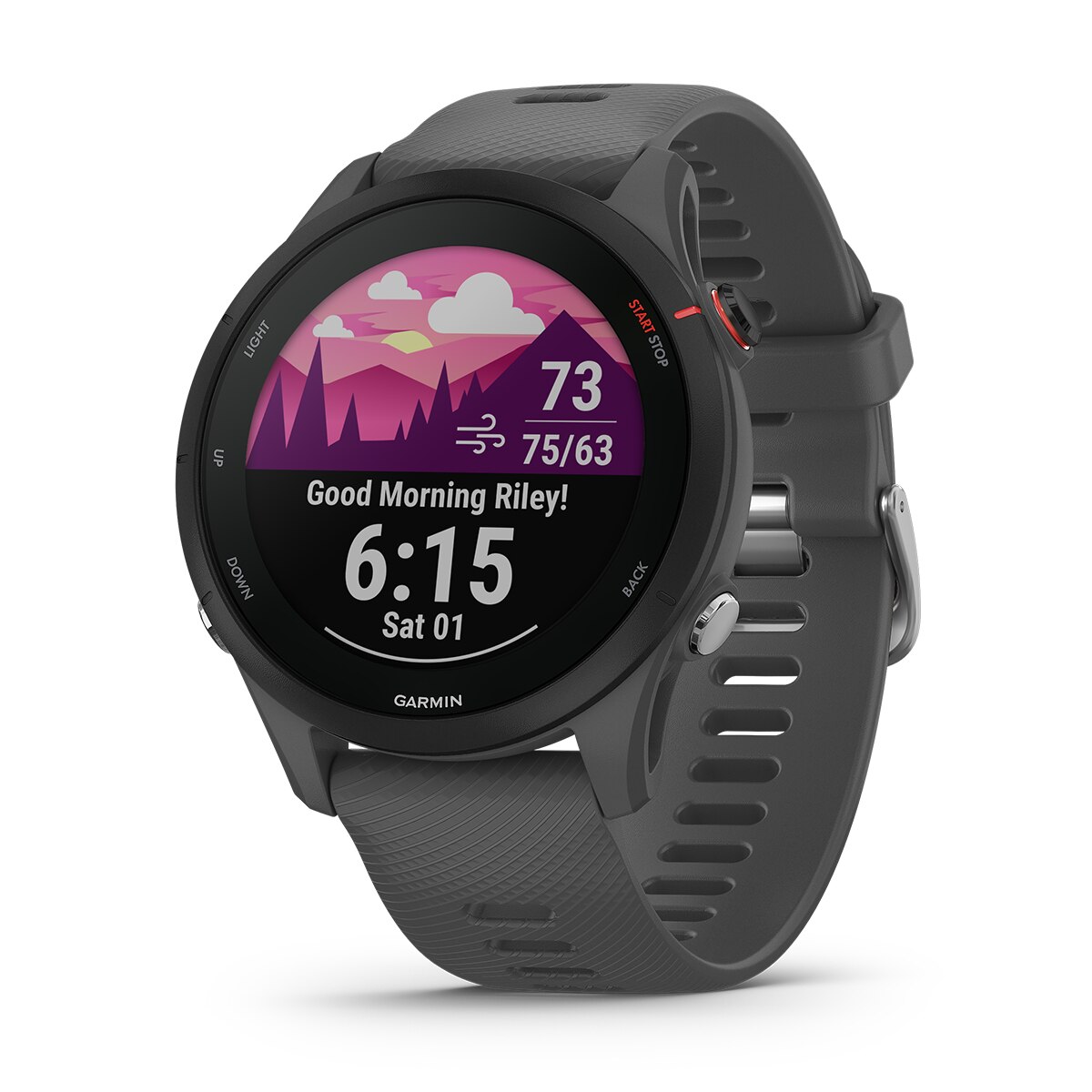 Garmin - Reloj smartwatch Forerunner 255 Garmin (Reacondicionado A estrenar).